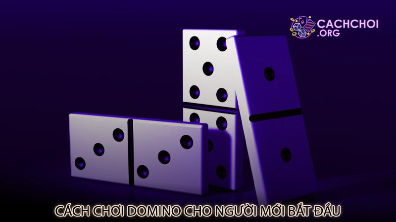 Cách chơi domino cho người mới bắt đầu